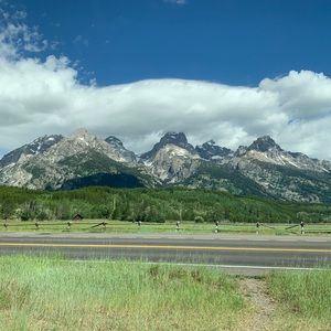 Meet your Posher, Lellie